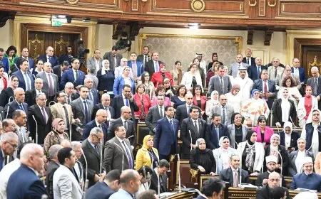 موعد انتخابات مجلس النواب ومجلس الشيوخ 2026