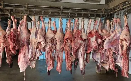 الأوقاف تُطلق المرحلة الثانية من مشروع صكوك الأضاحي