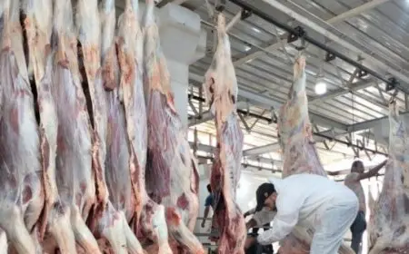 الزراعة: المجازر الحكومية استقبلت 34 ألف ذبيحة خلال العيد في جميع المحافظات