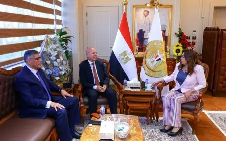 وزيرة التنمية المحلية تبحث مع محافظي القاهرة والجيزة المشروعات التنموية والخدمية