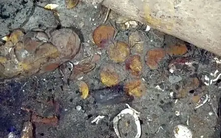 “التصوير ثلاثي الأبعاد” يكشف عن تفاصيل كنز الـ20 مليار دولار