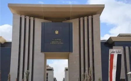 الأحزاب: بيان الخارجية يعكس حرص مصر على تعزيز أمنها القومي بالتزامن مع دعمها التاريخي للشعب الفلسطيني