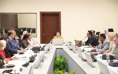 نائب وزير الصحة يعقد اجتماعًا لمناقشة آليات تنفيذ الخطة العاجلة للسكان