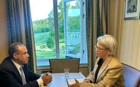 لقاء وزير الخارجية مع مبعوثة الاتحاد الأوروبي للقرن الأفريقي