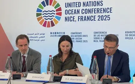 الزراعة: مصر تحقق توازنًا بين استدامة الموارد البحرية والأمن الغذائي والتنمية