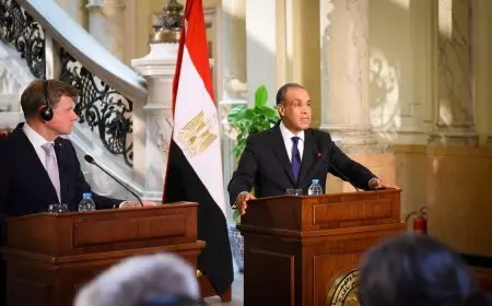 عبد العاطي: أوهام تحقيق الأمن والاستقرار عبر القوة لن توفر الأمان لإسرائيل