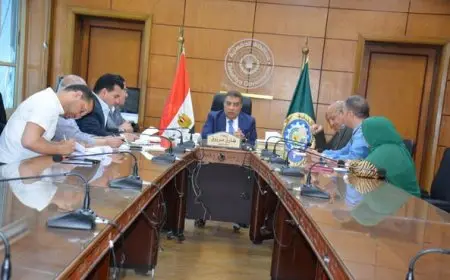 محافظ الدقهلية يعقد اجتماعاً لبدء تنفيذ خطة شاملة لترشيد استهلاك الكهرباء