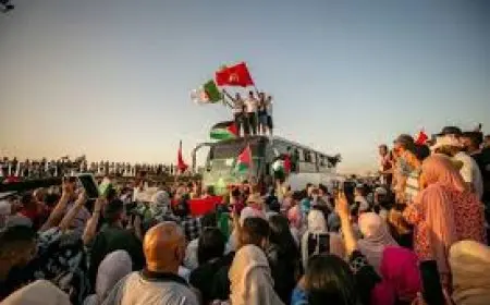 أحمد موسى: قافلة الصمود جزء من مخطط الإخوان.. ومصر لن تتسامح مع الفوضى