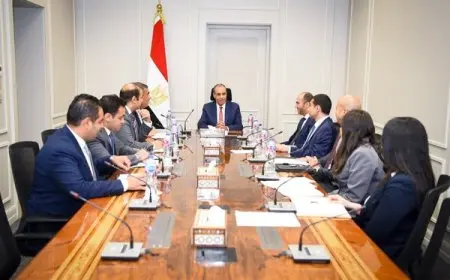 وزير الخارجية والهجرة يشدد على أهمية تعزيز الوجود المصري النشط في الساحة الإفريقية