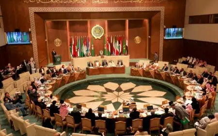 عبد المنعم سعيد ينادي بوحدة الموقف العربي لمواجهة الانتهاكات الإسرائيلية