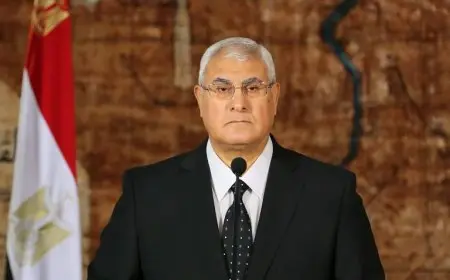 “الوطنية للإعلام”: تصريحات الرئيس السابق عدلي منصور غير صحيحة.