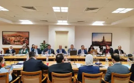 انعقاد اللجنة الدائمة لمتابعة العلاقات المصرية الأفريقية
