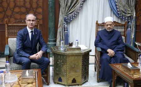 شيخ الأزهر يناقش مع رئيس وزراء صربيا سبل تعزيز التعاون العلمي والدعوي مع مسلمي صربيا