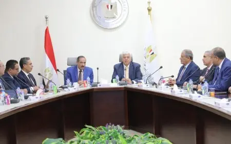 إصدار 365 قرارًا وزاريًا لتعيين أعضاء هيئة التدريس والمعاونين في المعاهد العليا الخاصة