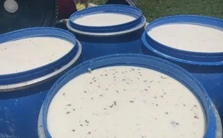 ضبط 2050 لتر من الألبان الغير صالحة للاستهلاك الآدمي في بني سويف