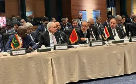 بدر عبد العاطي يشارك في الاجتماع الوزاري العربي في إسطنبول