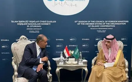 مباحثات وزيري خارجية مصر والسعودية في تركيا: إيران على رأس المواضيع المطروحة
