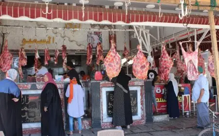 تراجع ملحوظ في أسعار اللحوم خلال الأيام المقبلة.. خبر سار من نقيب الفلاحين