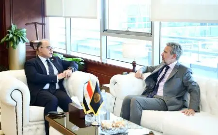 الهيئة العامة للرقابة المالية: سوق رأس المال وقطاع التأمين والتمويل غير المصرفي مليئة بالفرص الاستثمارية