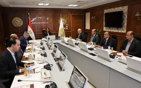 وزيرة التنمية المحلية: لن نتسامح مع أي قيادة محلية تقصر في أداء مهامها