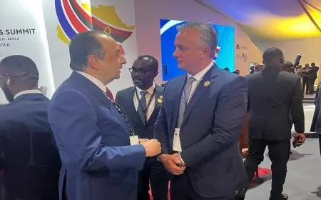 وزير قطاع الأعمال العام يناقش مع نائبة رئيس أنغولا تعزيز التعاون المشترك