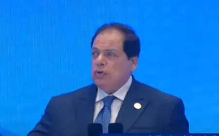 أبو العينين: مصر رائدة في الشراكة مع الصين في مشروعات التحول الرقمي والاقتصاد الأخضر، ونفخر بالتعاون المستمر معها