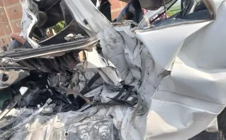 وزيرة التضامن الاجتماعي تتابع آثار حادث الطريق الإقليمي في المنوفية وتوجه بتقديم الدعم لذوي الضحايا