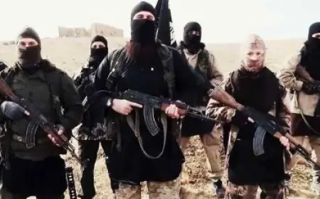 حسام الغمري: جماعة الإخوان أصدرت تعليمات مباشرة لأعضائها للانضمام إلى «داعش»