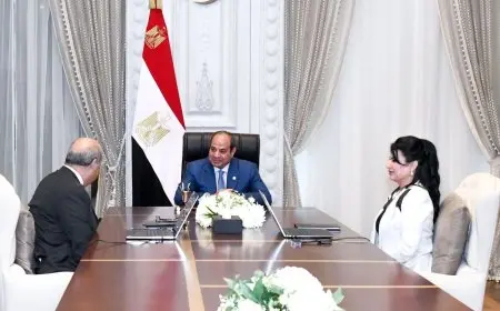 السيسي يأمر باستمرار تطوير المطارات المصرية عبر شراكات دولية