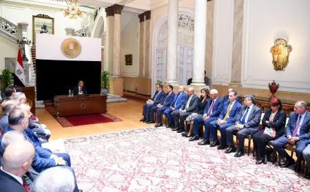 وزير الخارجية يستقبل السفراء المعينين للعمل بالبعثات المصرية في الخارج