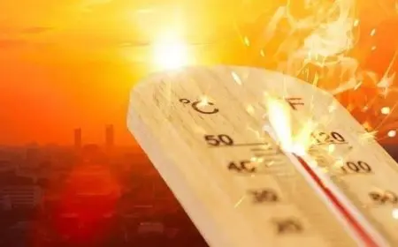 الأرصاد الجوية: طقس حار جداً اليوم الأحد واضطراب في الملاحة على السواحل الشمالية