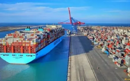 عبد المنعم السيد يوضح أسباب انخفاض عوائد قناة السويس إلى 5 مليارات دولار