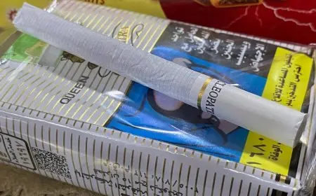 شعبة الدخان: زيادة سعر الشريحة الأولى للسجائر إلى 48 جنيهًا