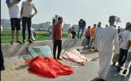 مدبولي يأمر بإجراء فحص مفاجئ للكشف عن المخدرات لسائقي النقل بعد الحادث الإقليمي