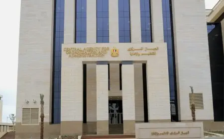 اعرف مستواك.. التنظيم والإدارة يعلن عن قرار ترقية الموظفين وبدء التطبيق في يوليو 2025