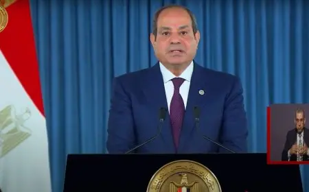 الرئيس السيسي: ثورة 30 يونيو كانت ملحمة وطنية كتبها أبناء مصر