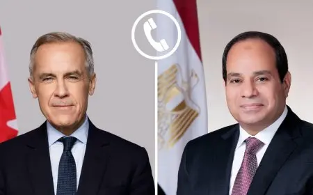 الرئيس السيسي يبرز لرئيس الوزراء الكندي ضرورة الاستفادة من التهدئة الإقليمية لتحقيق اتفاق لوقف إطلاق النار في غزة