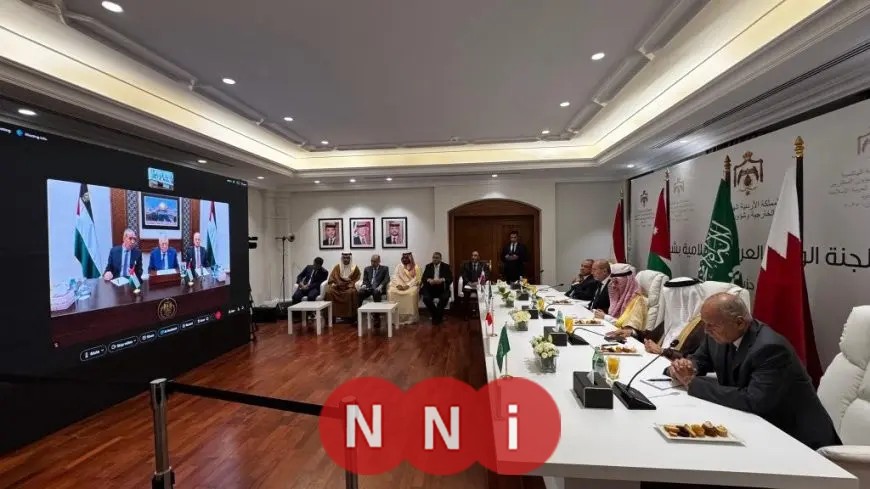 وزير الخارجية يشدد على جهود مصر لحل الأزمة الفلسطينية