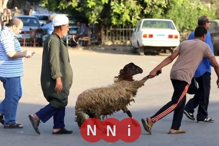 مظاهر احتفالات عيد الأضحى عبر العصور