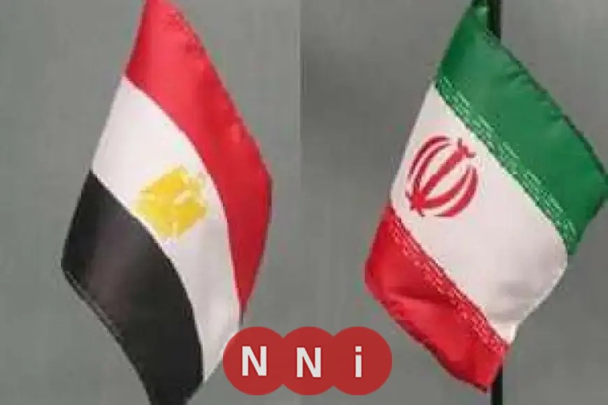 وزير الخارجية يكشف موعد تعيين السفراء بين مصر وإيران