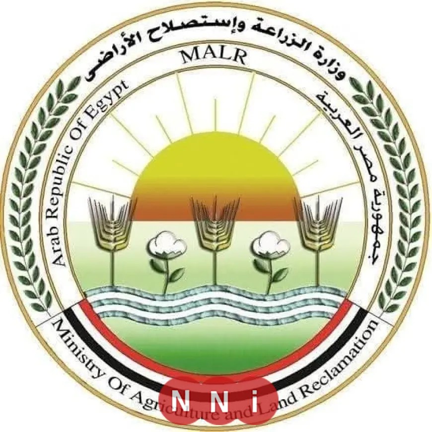 الزراعة: استقبال أكثر من 9800 أضحية في المجازر الحكومية خلال أول أيام العيد