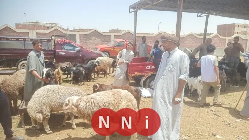 وزير الزراعة يشرف على لجان متابعة شوادر وأماكن بيع الأضاحي ويعزز جهود توعية المواطنين