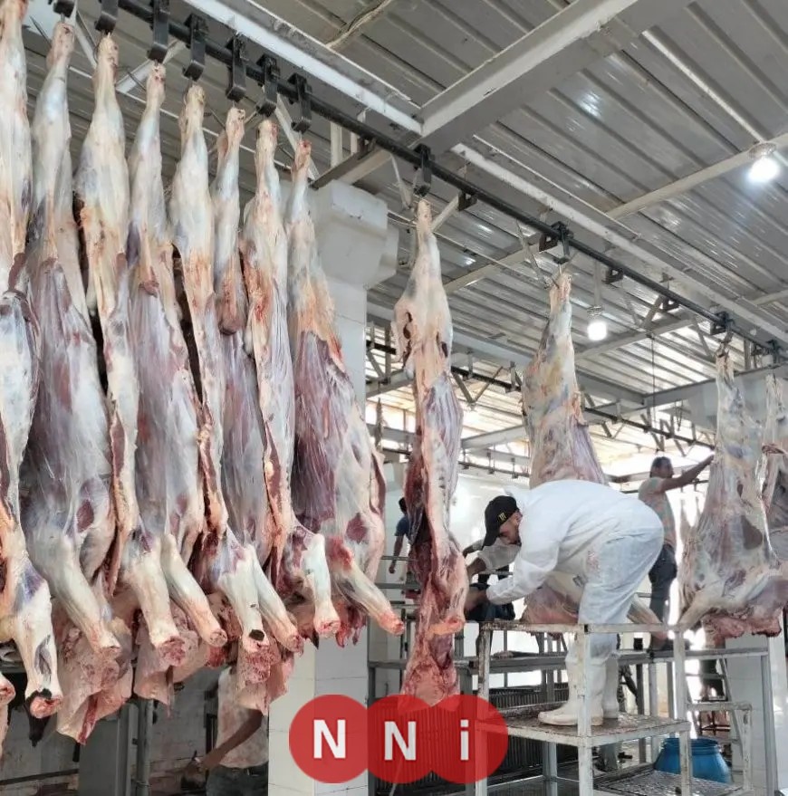 أسوان: ذبح الأضاحي مجانًا في المجازر الحكومية خلال أيام العيد