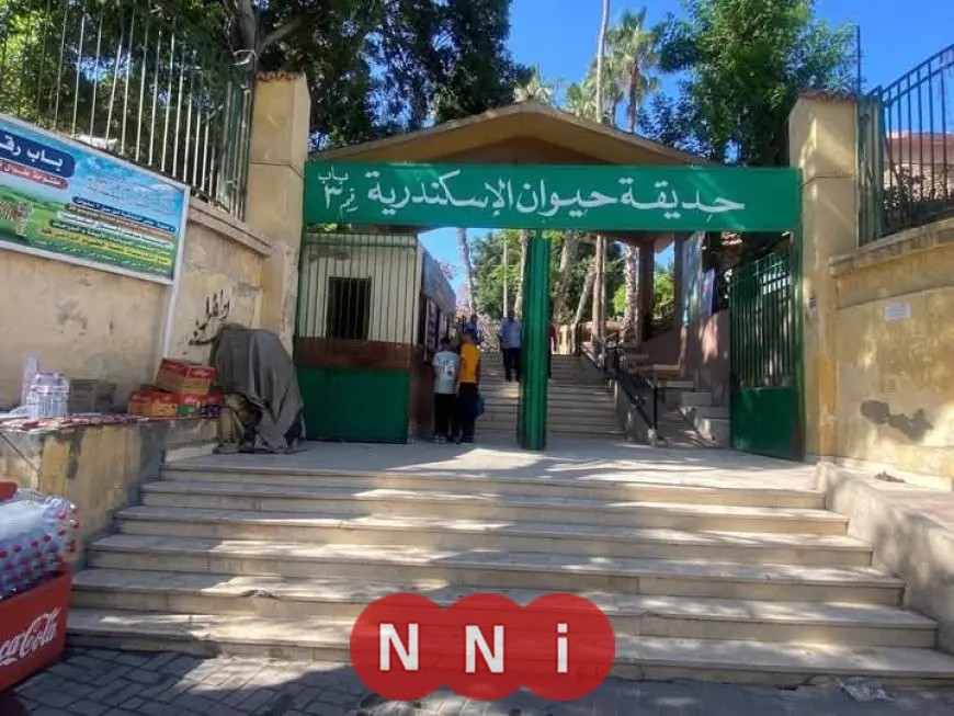 “الزراعة”: حدائق الحيوان الإقليمية وأسماك الزمالك تستقبل أكثر من 38 ألف زائر في أول يومين من العيد