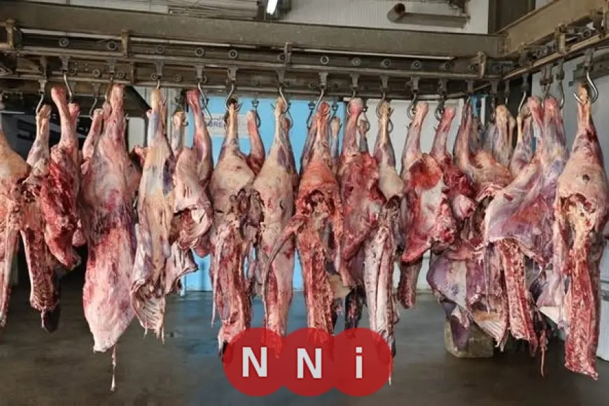 الأوقاف تُطلق المرحلة الثانية من مشروع صكوك الأضاحي