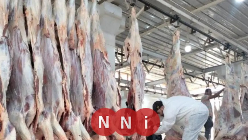 الزراعة: المجازر الحكومية استقبلت 34 ألف ذبيحة خلال العيد في جميع المحافظات
