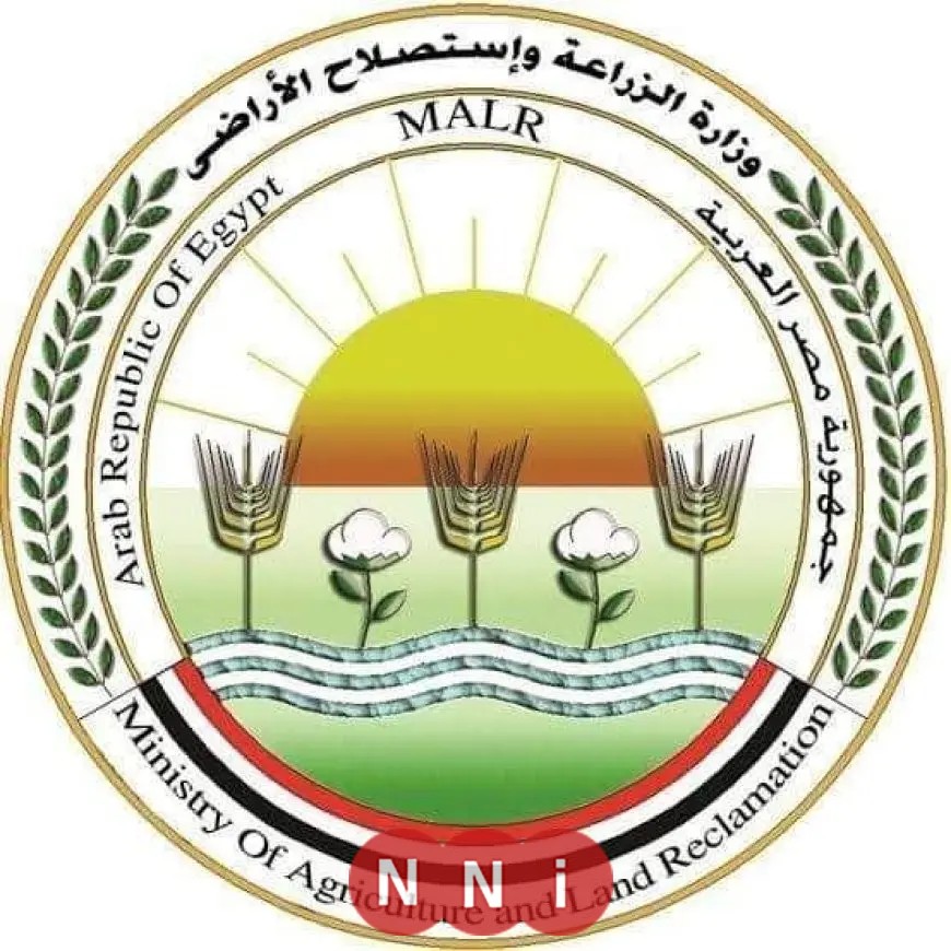 الزراعة: استقبلت المجازر الحكومية 34 ألف أضحية في العيد بجميع المحافظات