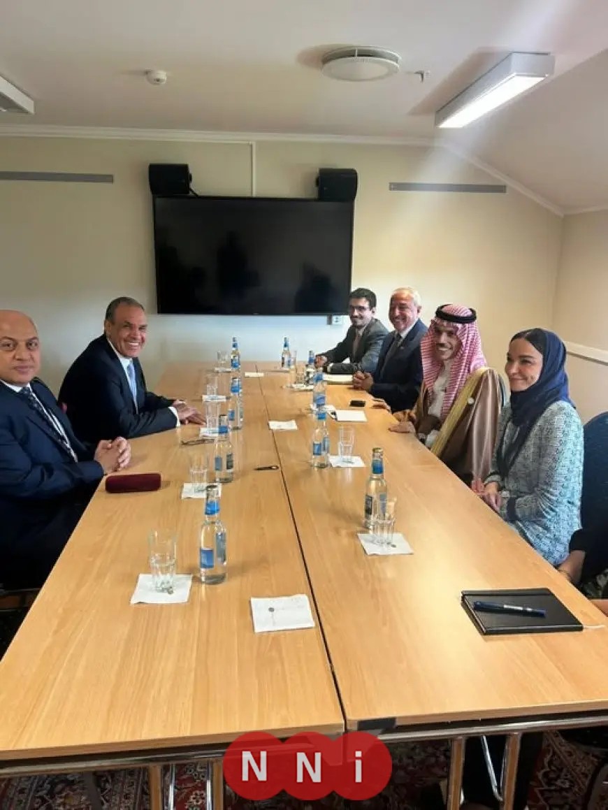 وزير الخارجية ونظيره السعودي يتباحثان حول مستجدات الأوضاع في غزة