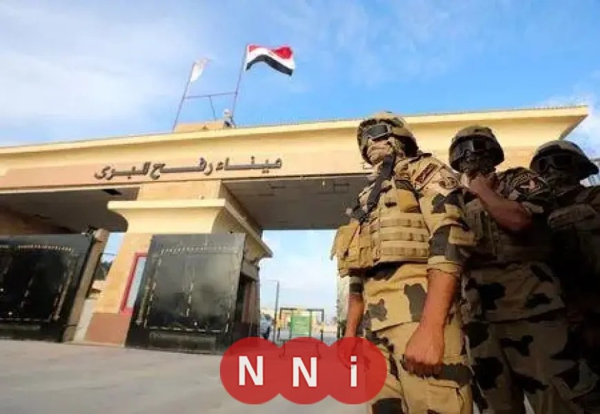 ضياء الدين داوود: هناك جهود منظمة لزعزعة استقرار الأمن المصري