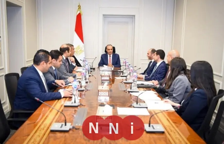 وزير الخارجية والهجرة يشدد على أهمية تعزيز الوجود المصري النشط في الساحة الإفريقية